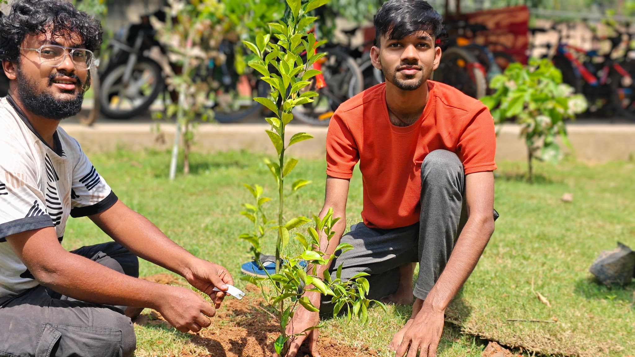 Plantation Drive 2024