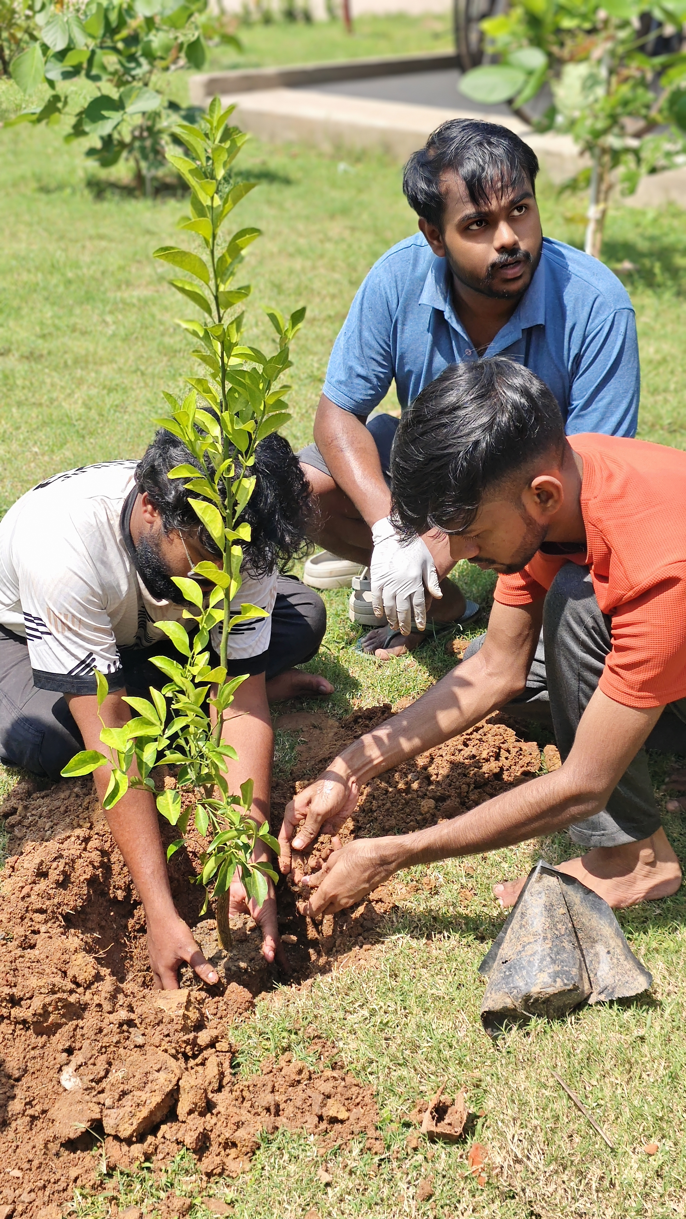 Plantation Drive 2024